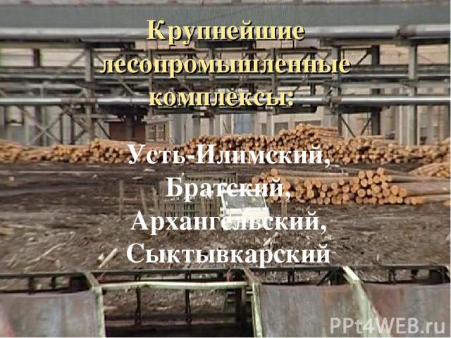 Крупнейшие лесопромышленные комплексы: Усть-Илимский, Братский, Архангельский, Сыктывкарский