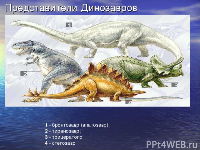 Представители Динозавров 1 - бронтозавр (апатозавр); 2 - тиранозавр; 3 - трицератопс 4 - стегозавр