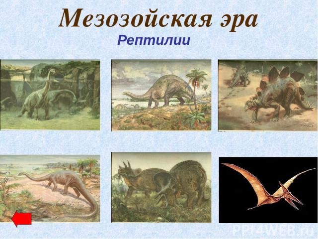 Мезозойская эра Рептилии