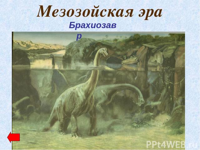 Мезозойская эра Брахиозавр