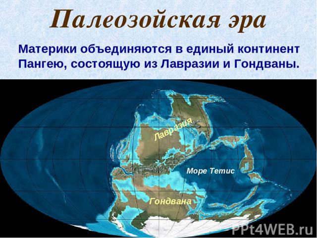Палеозойская эра Материки объединяются в единый континент Пангею, состоящую из Лавразии и Гондваны. Море Тетис Лавразия Гондвана
