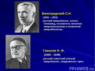 Виноградский С.Н. (1856 – 1953) русский микробиолог, эколог, почвовед, основател