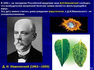 а я В 1892 г. на заседании Российской академии наук Д.И.Ивановский сообщил, что