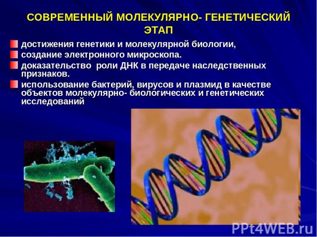 СОВРЕМЕННЫЙ МОЛЕКУЛЯРНО- ГЕНЕТИЧЕСКИЙ ЭТАП достижения генетики и молекулярной биологии, создание электронного микроскопа. доказательство роли ДНК в передаче наследственных признаков. использование бактерий, вирусов и плазмид в качестве объектов моле…