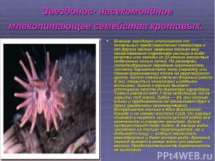 Звездонос- насекомоядное млекопитающее семейства кротовых. Внешне звездонос отли