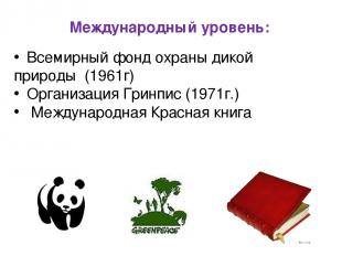 Международный уровень: Всемирный фонд охраны дикой природы (1961г) Организация Г