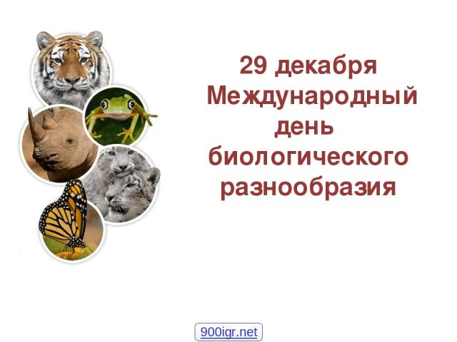 29 декабря Международный день биологического разнообразия 900igr.net