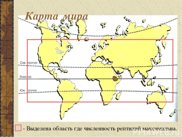 - Выделена область где численность рептилий максимальна. Карта мира