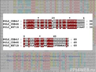 .. Последовательности белка оболочки из двух штаммов вируса Коксаки и энтеровиру