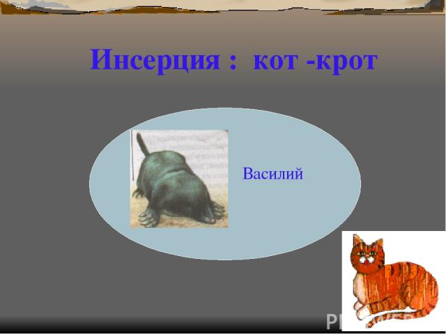 Василий Р Инсерция : кот -крот