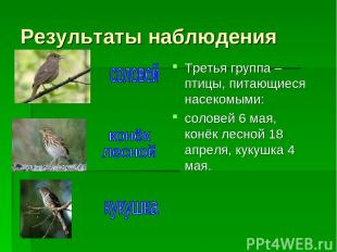 Результаты наблюдения Третья группа – птицы, питающиеся насекомыми: соловей 6 ма