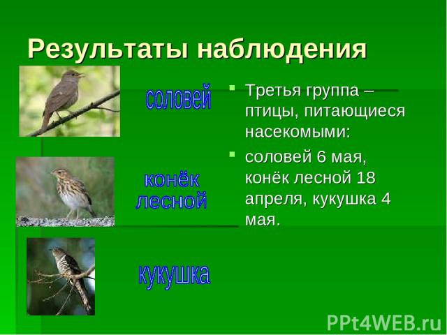 Результаты наблюдения Третья группа – птицы, питающиеся насекомыми: соловей 6 мая, конёк лесной 18 апреля, кукушка 4 мая.