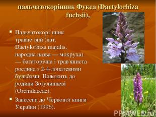 пальчатокорінник Фукса (Dactylorhiza fuchsii), Пальчатокорі нник травне вий (лат