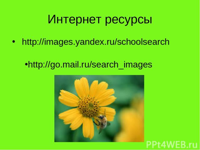 Интернет ресурсы http://images.yandex.ru/schoolsearch http://go.mail.ru/search_images