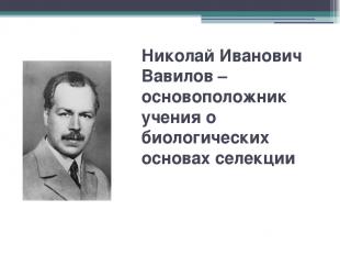 Николай Иванович Вавилов – основоположник учения о биологических основах селекци