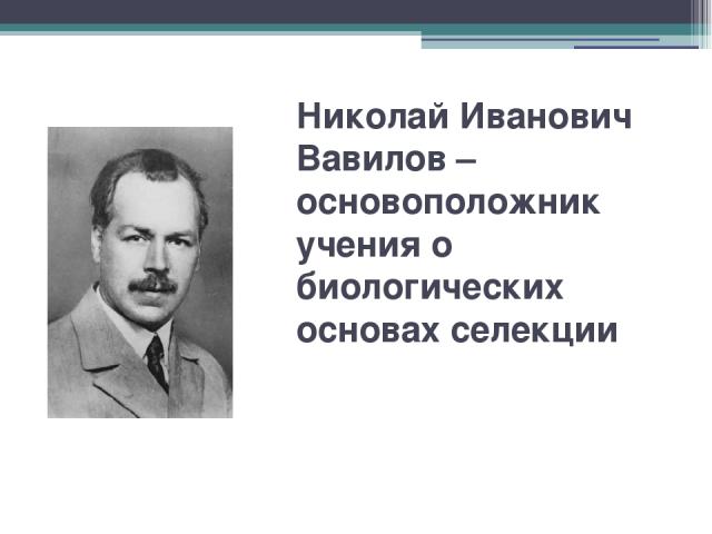 Николай Иванович Вавилов – основоположник учения о биологических основах селекции