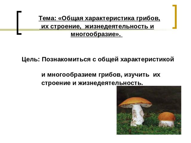 Тема: «Общая характеристика грибов, их строение, жизнедеятельность и многообразие». Цель: Познакомиться с общей характеристикой и многообразием грибов, изучить их строение и жизнедеятельность.