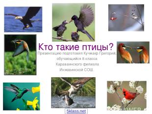 Кто такие птицы? Презентацию подготовил Кучмакр Григорий, обучающийся 8 класса К