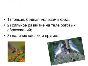 О сходстве птиц с пресмыкающимися свидетельствуют общие признаки: 1) тонкая, бед