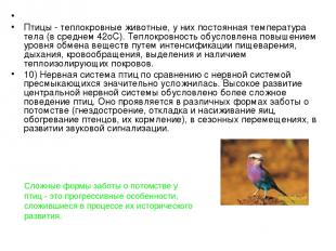 Птицы - теплокровные животные, у них постоянная температура тела (в среднем 42оС