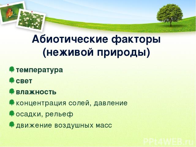 Абиотические факторы (неживой природы) температура свет влажность концентрация солей, давление осадки, рельеф движение воздушных масс