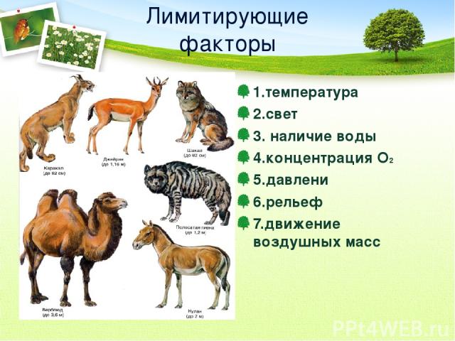 Лимитирующие факторы 1.температура 2.свет 3. наличие воды 4.концентрация О2 5.давлени 6.рельеф 7.движение воздушных масс