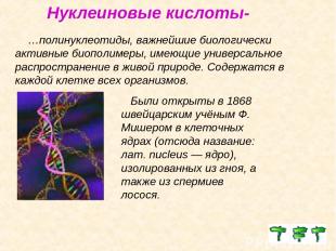 Нуклеиновые кислоты- …полинуклеотиды, важнейшие биологически активные биополимер