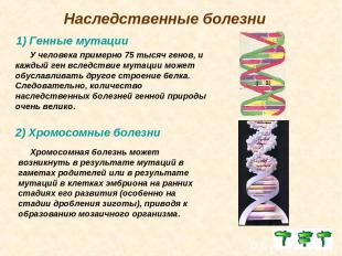 Наследственные болезни 1) Генные мутации У человека примерно 75 тысяч генов, и к