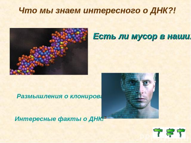 Что мы знаем интересного о ДНК?! Есть ли мусор в наших ДНК? Размышления о клонировании. Интересные факты о ДНК!