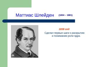 Маттиас Шлейден 1838 год Сделал первые шаги к раскрытию и пониманию роли ядра. (