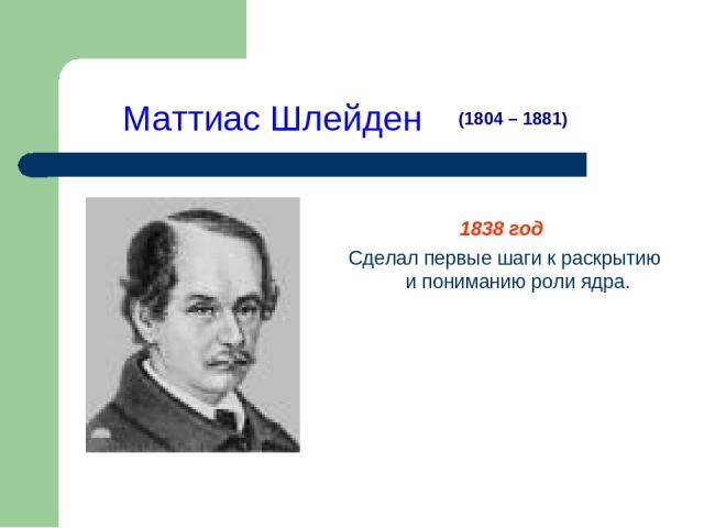 Маттиас Шлейден 1838 год Сделал первые шаги к раскрытию и пониманию роли ядра. (1804 – 1881)