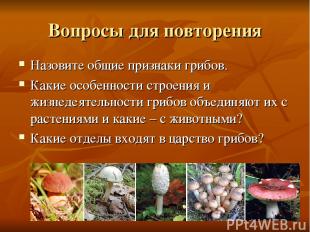 ММЦ 74212 Вопросы для повторения Назовите общие признаки грибов. Какие особеннос