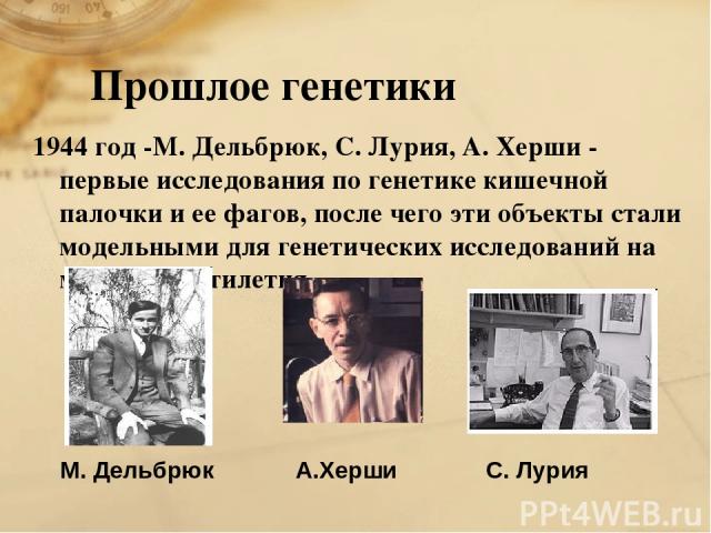 Прошлое генетики 1944 год -М. Дельбрюк, С. Лурия, А. Херши - первые исследования по генетике кишечной палочки и ее фагов, после чего эти объекты стали модельными для генетических исследований на многие десятилетия. М. Дельбрюк С. Лурия А.Херши