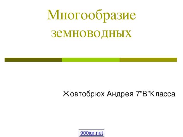 Многообразие земноводных Жовтобрюх Андрея 7”В”Класса 900igr.net