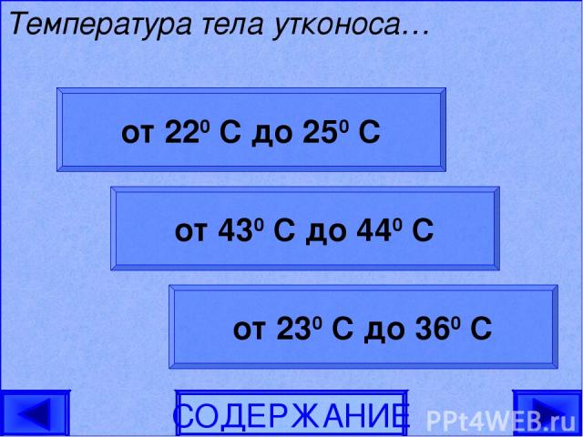 от 220 С до 250 С от 230 С до 360 С от 430 С до 440 С СОДЕРЖАНИЕ Температура тела утконоса…