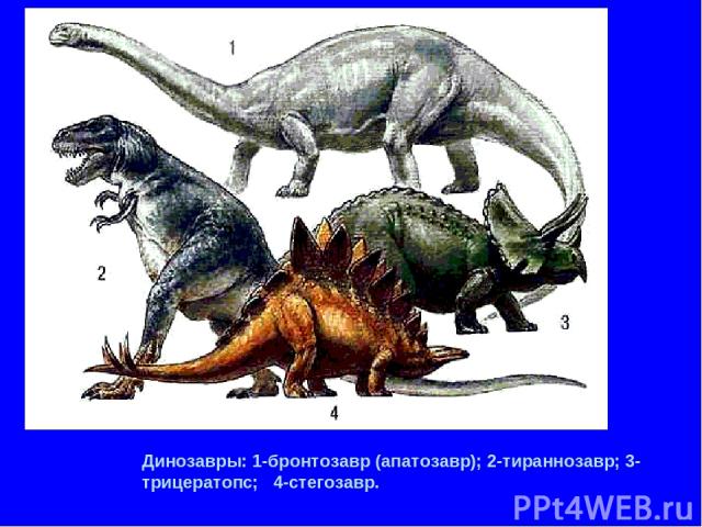 Динозавры: 1-бронтозавр (апатозавр); 2-тираннозавр; 3-трицератопс; 4-стегозавр.
