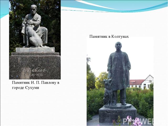 Памятник И. П. Павлову в городе Сухуми Памятник в Колтунах