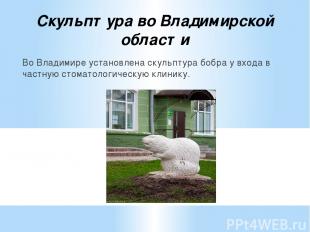 Скульптура во Владимирской области Во Владимире установлена скульптура бобра у в