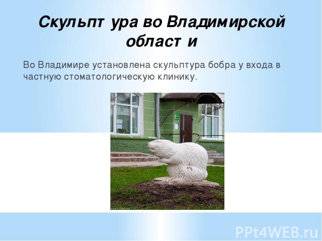 Скульптура во Владимирской области Во Владимире установлена скульптура бобра у входа в частную стоматологическую клинику.