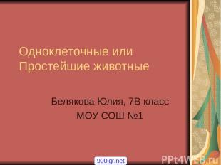 Одноклеточные или Простейшие животные Белякова Юлия, 7В класс МОУ СОШ №1 900igr.