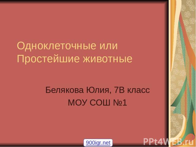 Одноклеточные или Простейшие животные Белякова Юлия, 7В класс МОУ СОШ №1 900igr.net