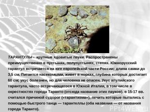 ТАРАНТУЛЫ - крупные ядовитые пауки. Распространены преимущественно в пустынях, п