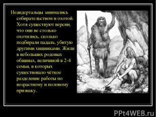 Неандертальцы занимались собирательством и охотой. Хотя существуют версии, что о