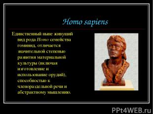 Homo sapiens Единственный ныне живущий вид рода Homo семейства гоминид, отличает