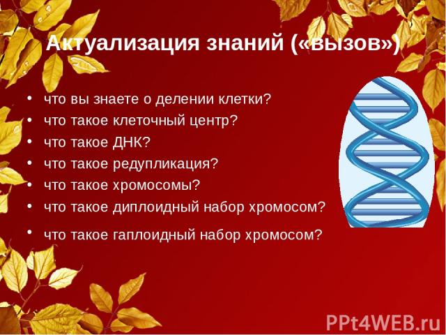 Актуализация знаний («вызов») что вы знаете о делении клетки? что такое клеточный центр? что такое ДНК? что такое редупликация? что такое хромосомы? что такое диплоидный набор хромосом? что такое гаплоидный набор хромосом?