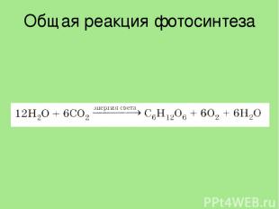 Общая реакция фотосинтеза