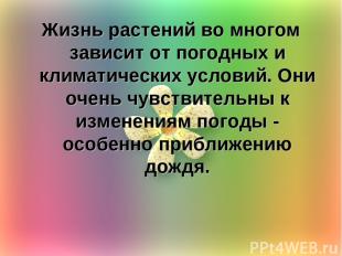 Жизнь растений во многом зависит от погодных и климатических условий. Они очень