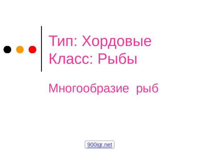 Тип: Хордовые Класс: Рыбы Многообразие рыб 900igr.net