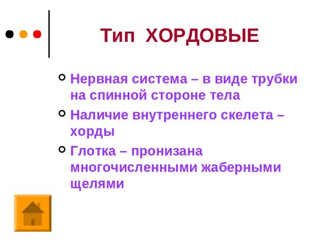 Тип ХОРДОВЫЕ Нервная система – в виде трубки на спинной стороне тела Наличие внутреннего скелета – хорды Глотка – пронизана многочисленными жаберными щелями