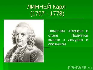 ЛИННЕЙ Карл (1707 - 1778) Поместил человека в отряд Приматов вместе с лемуром и